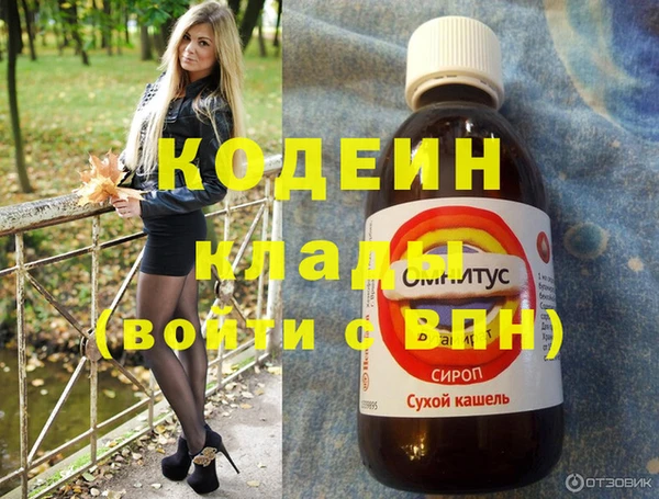 МДПВ Вяземский